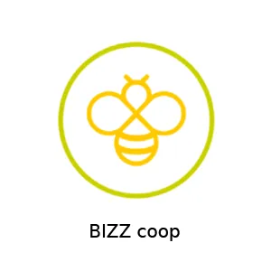 bizz coop chicoutimi